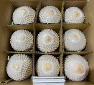 Diamond cut coconut