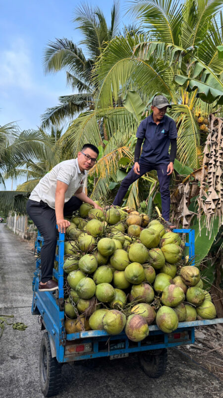 VIA Fresh Young Coconut for wholesale export