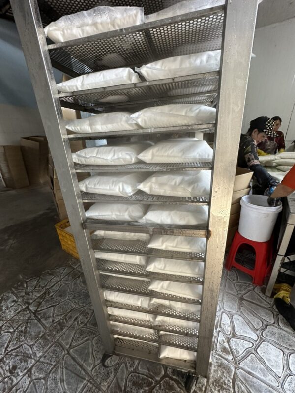 Desiccated coconut powder being processed at VIA