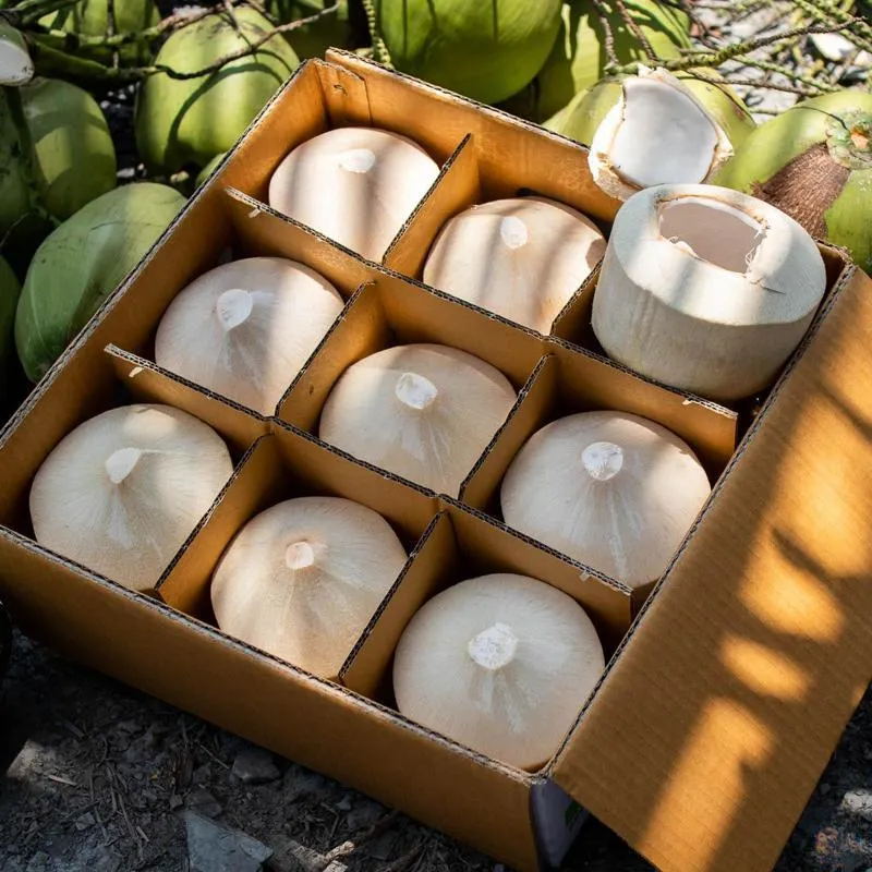 Fresh Young Coconuts come in various styles to suit your needs.