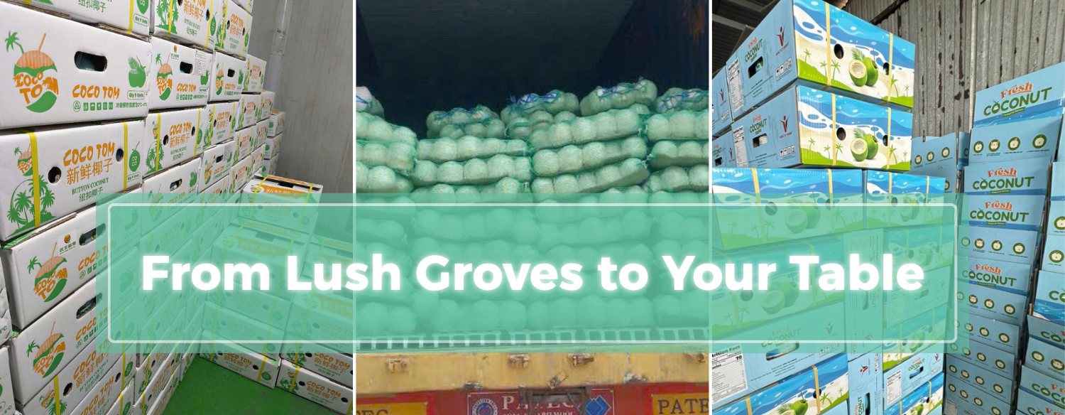 From Lush Groves to Your Table