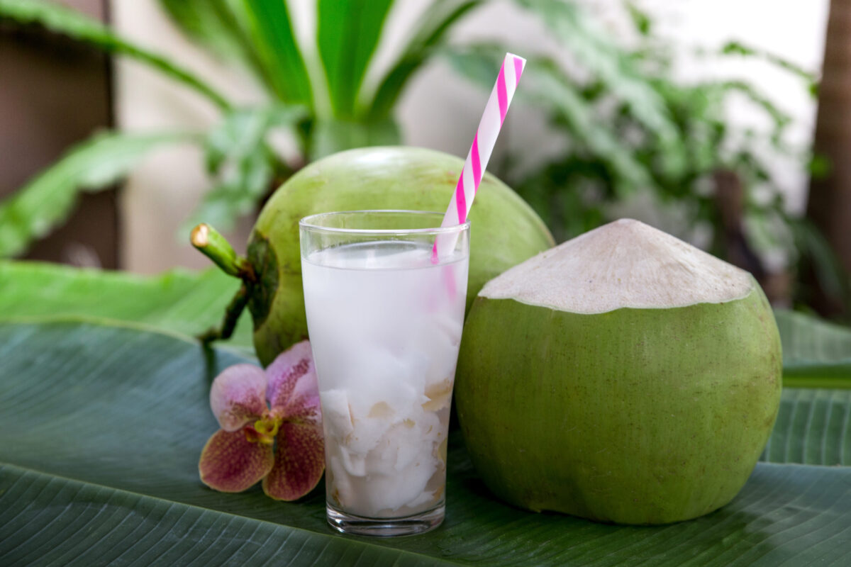 Fresh green coconuts harvested in Vietnam’s Mekong Delta for coconut water production