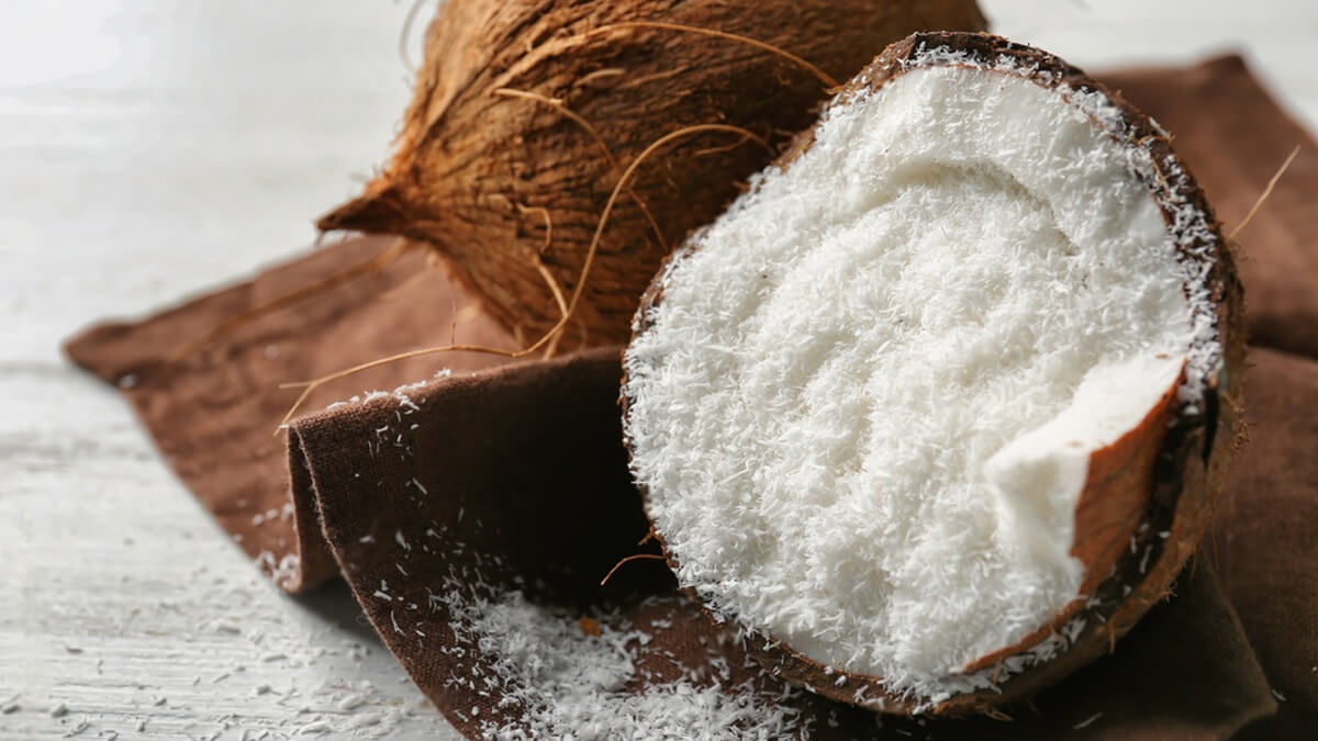 Desiccated coconut low fat powder from Vietnam supplier – Vietnam Coconut