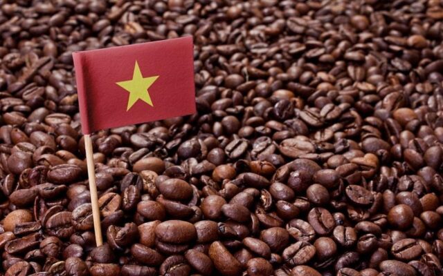 Benefits to import Vietnam coffee including high-quality Robusta beans and competitive export prices.