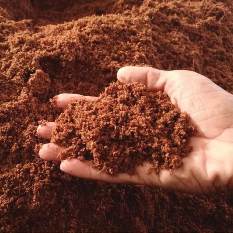 cocopeat production process from coconut husk